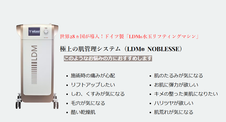 ​LDMNOBLESSES(エルディエム ノブレス）水玉リフティング超音波 フェイシャル ボディケア