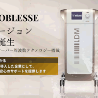 ​LDMNOBLESSES(エルディエム ノブレス）水玉リフティング超音波 フェイシャル ボディケア